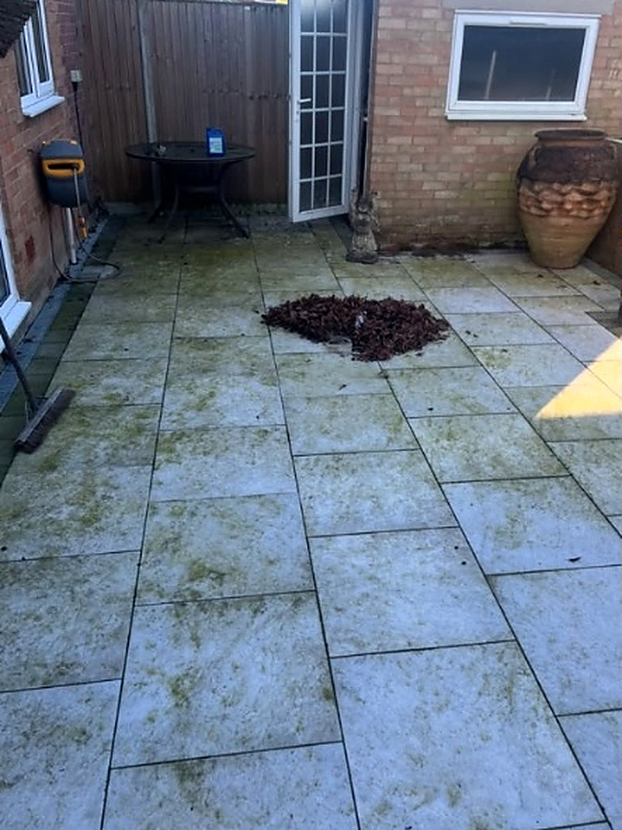 Green algae-covered porcelain patio cleaned back to a bright finish — before