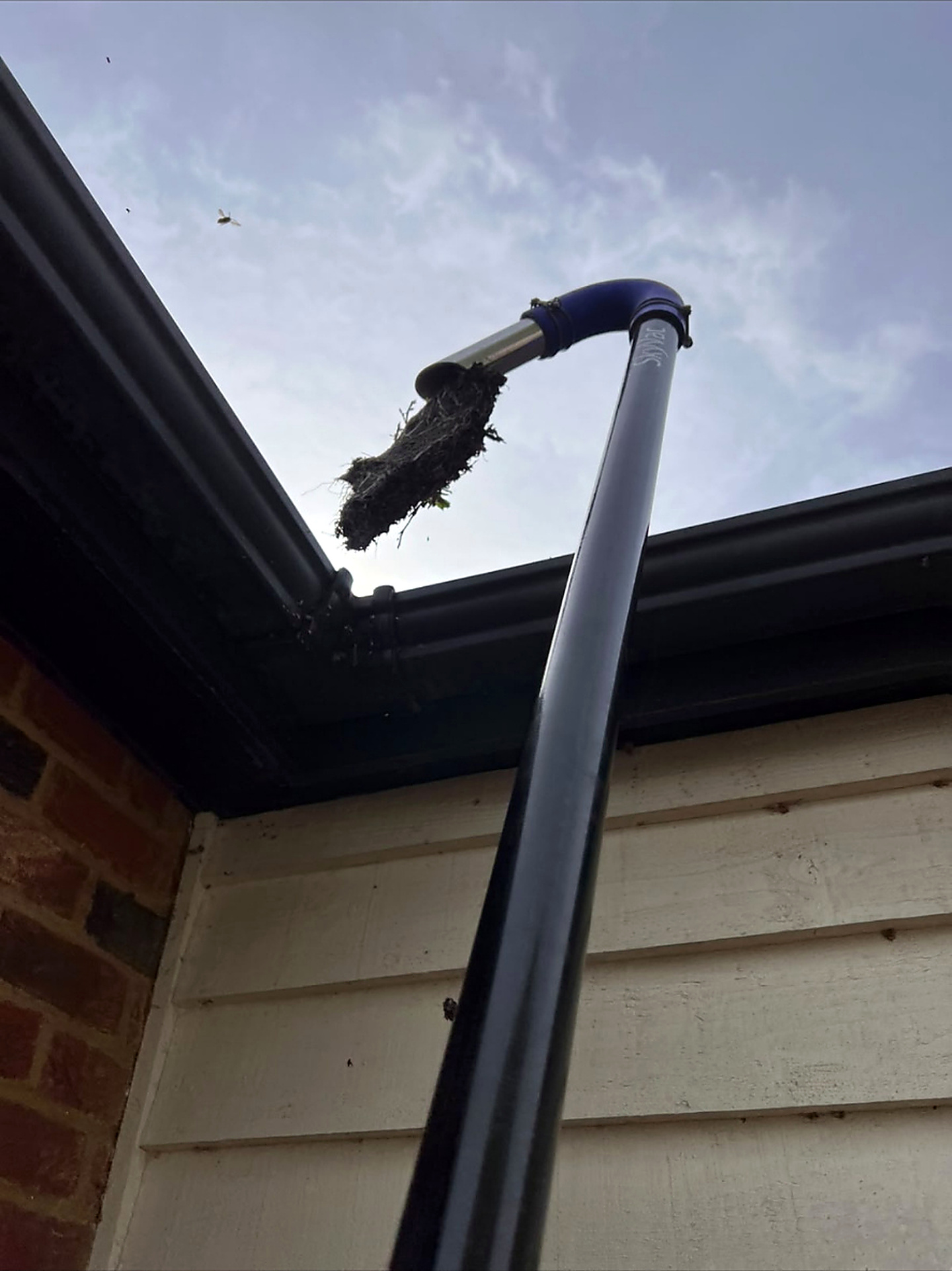 High-reach gutter vacuum pole clearing debris from a gutter