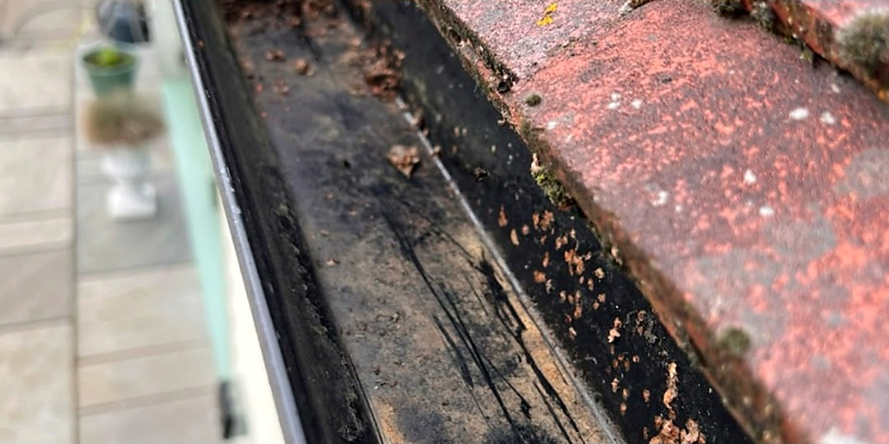 Close-up of a gutter cleared of leaves and moss — after
